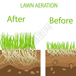 草坪舞台曝气图 园艺草坪景观设计服务 白色背景上的矢量 在曝气优势的背景下 地面上的绿色草坪图片