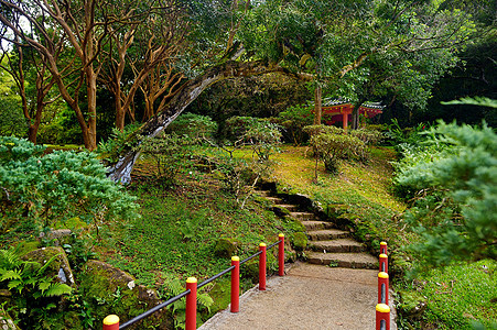 瓦胡岛比约多寺庙附近的公园图片