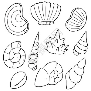 一套海贝壳风格装饰绘画支撑食物海洋海滩线条卡通片草图图片