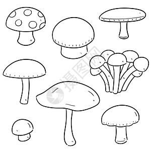 一套蘑菇生态草图生长夹子艺术装饰卡通片食物孢子绘画图片