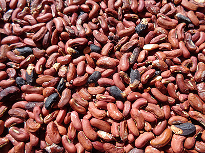 有天然背景的长豆种长种子 种子在干燥过程中烹饪豆类营养木板收成食物花园美食蔬菜热带图片