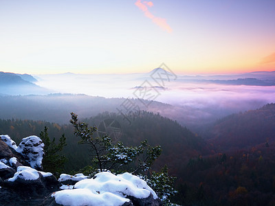 秋天清晨 岩石被新鲜的粉末雪覆盖公园湿度反转树干树梢爬坡射线阳光天空峡谷图片