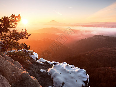 秋天清晨 岩石被新鲜的粉末雪覆盖枝条爬坡湿度峡谷首脑橙子积木公园射线太阳图片