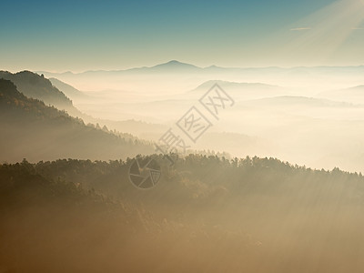 在美丽的山丘中弥漫着迷彩的黎明 云层繁多橙子反射烟雾阳光风景滤镜色调爬坡松树照片图片