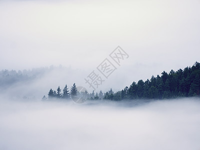 风云中弥漫着巨大的浓雾 在乡下有秋天的霜雾 山因雾而增高金子森林反射农村射线风景爬坡国家太阳日出图片