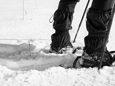 带雪鞋的男子腿在雪中行走 关于冬季滑雪远足的详细情况动作雪裤粉雪雪花冒险漂移男士登山杖近景装备图片