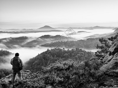 在侏儒松中带红色户外风车的旅游者 秋山丘地貌图片