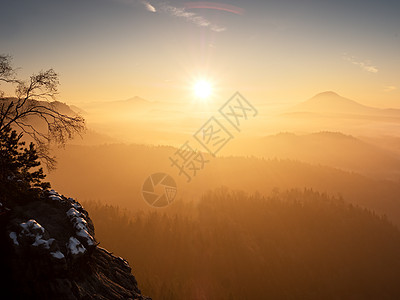 在美丽的山丘中弥漫着迷彩的黎明 云层繁多太阳山峰橙子湿度风景照片松树烟雾爬坡色调图片