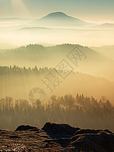 秋天破晓 在美丽的山丘中起雾烟雾风景反转太阳山峰湿度公园森林土地反射图片