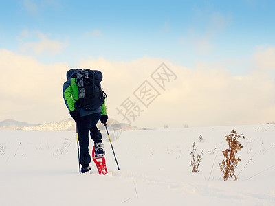 穿绿色灰色冬夹克和黑色长裤在雪中行走的希克人图片