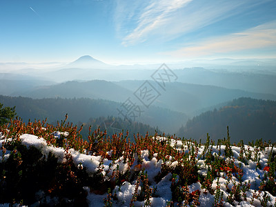 公园悬崖上满是棕榈树的红墨中的白雪 山地乡下长谷充满秋雾旅行衬套地平线薄片枝条冒险成就农村冻结风景图片