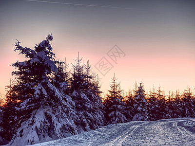 在新雪下的道路 山上跨越国道 冬天的山边晚上夜里图片