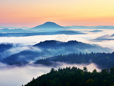 秋色风景 温柔的薄雾 在森林上方丰盛的秋冬浓雾 高山从雾中增加图片