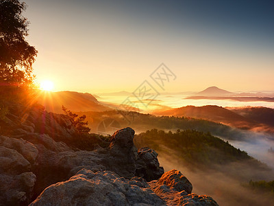 美丽的秋天风景 有山景 晨雾爬坡松树环境薄雾日落阳光日出国家旅行天空图片