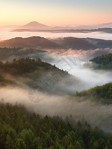秋日森林 满是浓雾的多彩峡谷落下童话阳光天空射线公园气氛游客日落爬坡岩石图片
