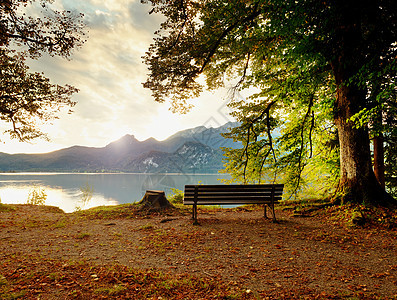 山湖的空木凳子 在蜜蜂树下海景太阳日落天际树桩风格天空复古山脉座位图片