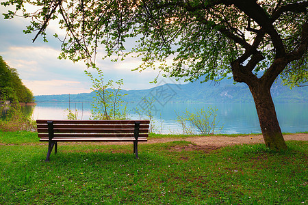 泉水湖的空凳子 海岸苹果树 地平线和水镜上的山峰图片