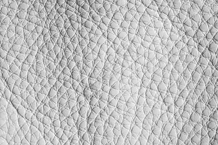 白色皮革质地灰色墙纸空白动物皮肤奶牛织物牛皮纺织品材料图片