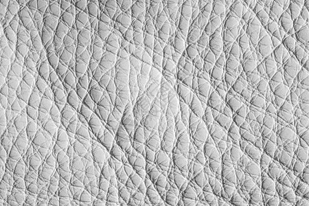 白色皮革质地墙纸动物空白灰色奶牛织物纺织品材料皮肤牛皮图片