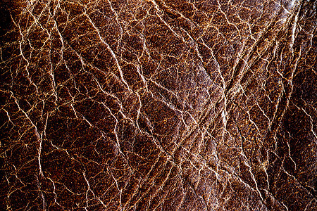 棕色天然皮革质地动物空白奶牛墙纸纺织品牛皮织物材料皮肤图片