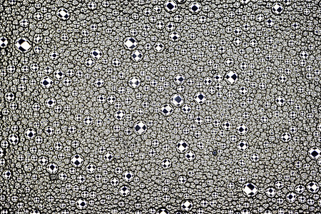 黑色和白色的油滴在水面上 圆形和椭圆形 设计的抽象背景正方形气泡辉光泡沫艺术宏观墙纸想像力折射菱形图片