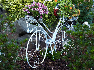 装饰性白色自行车 花园花朵图片