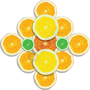 白色背景上的柠檬橙石灰葡萄柚片水果绘画热带团体草图柠檬橙子饮食圆圈营养图片