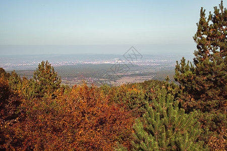 阳光明日的秋天风景天空植物晴天季节太阳农村森林场景场地公园图片