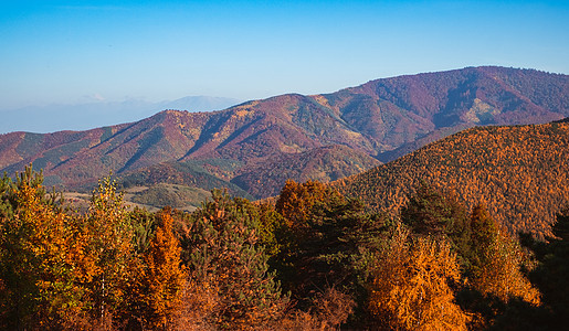 阳光明日的秋天风景森林太阳场景天空环境场地天气木头农村公园图片
