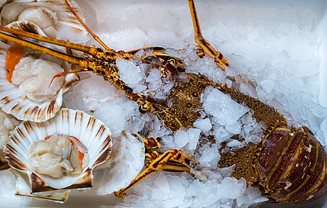 市场上的冰上新鲜龙虾和牡蛎图片