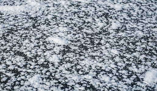 冻湖上的雪花图片