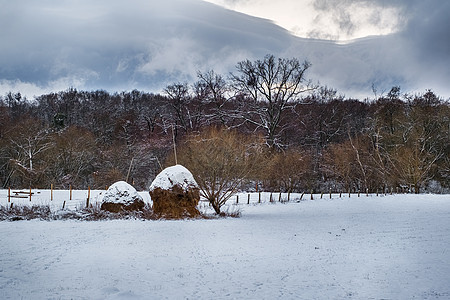 罗马尼亚冬季乡村风景 有雪覆盖树木a b图片