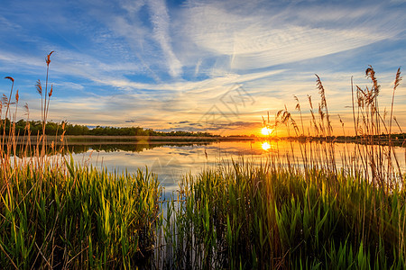 池塘上方美丽的日落的景色太阳场景天空橙子黄色反射季节风景墙纸沼泽图片