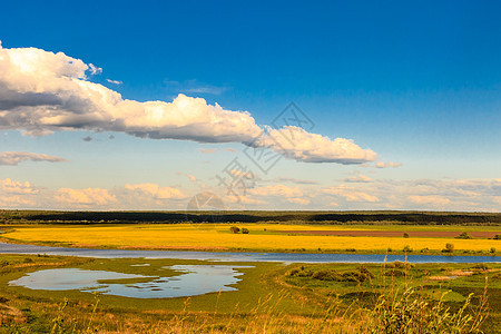 充满河流和天空的夏月风景黄色花朵地平线场地蓝色晴天环境森林木头绿色图片