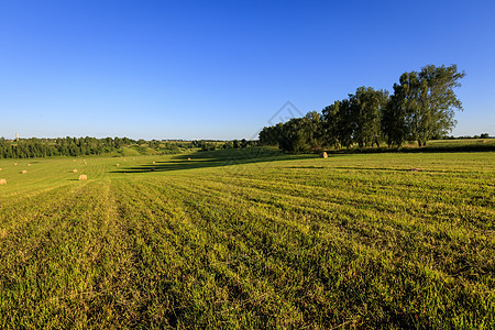 夏季晚上有堆叠的田地蓝色金子土地农场季节农村稻草天空农业国家图片