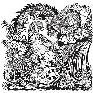 中国龙和虎在风景中生物彩页力量二元性黑与白老虎风水精神艺术活力图片