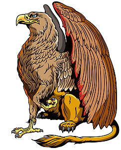 坐着的格里芬侧视图鹰头怪物狮鹫生物传奇狮子动物翅膀神话图片