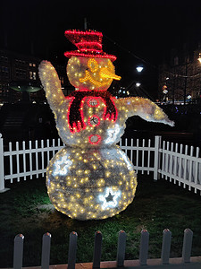圣诞雪人大户外灯光照亮装饰品乐趣辉光季节雪人展示图片