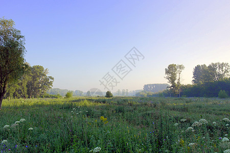 美丽的夏季雾色风景图片