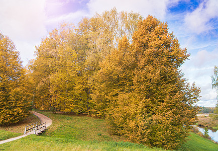 景象般的农村秋季风景 有树木 道路 木桥图片