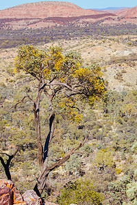 澳大利亚北区澳大利亚北部直角峡谷晴天砂岩岩石旅行悬崖峡谷橙子天空蛇形水坑图片