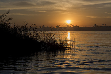 日落时埃及大河的风景图黄金反射衬套旅行热带环境农村全景橙子河岸图片