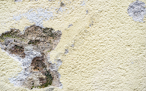室外墙壁的模型损坏住宅石膏板房子细菌腐烂建筑学孢子霉菌结构卫生背景图片