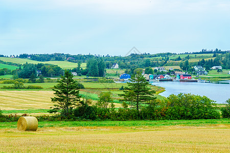 PEI 法兰西河附近的乡边和干草堆农村收成农田旅行生长土地风景乡村国家农场图片