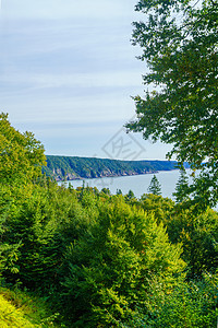 Fundy Trail公园的沿海景观大路支撑悬崖旅游旅行海洋注意海岸海滩海岸线图片