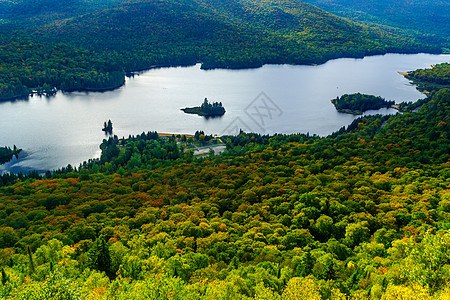 位于国家公园的La Roche观察点森林季节叶子旅行公园场景质量控制风景国家甲板图片