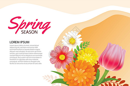 你好春天贺卡和鲜花盛开的邀请叶子季节传单庆典海报花园刻字插图问候语卡片图片