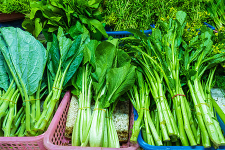 蔬菜市场上的柜台上装着绿菜的盒子杂货店农民植物农场沙拉食物农业叶子草本植物香料图片