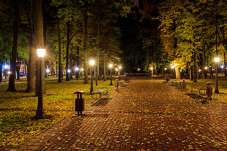 秋天夜公园 黄叶落下灯笼街道花园植物景观途径长椅季节城市叶子图片