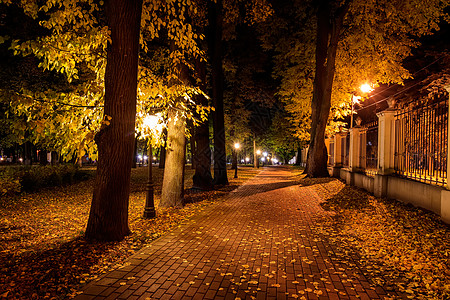 秋天夜公园 黄叶落下叶子景观长椅正方形小路季节灯笼途径森林路面图片